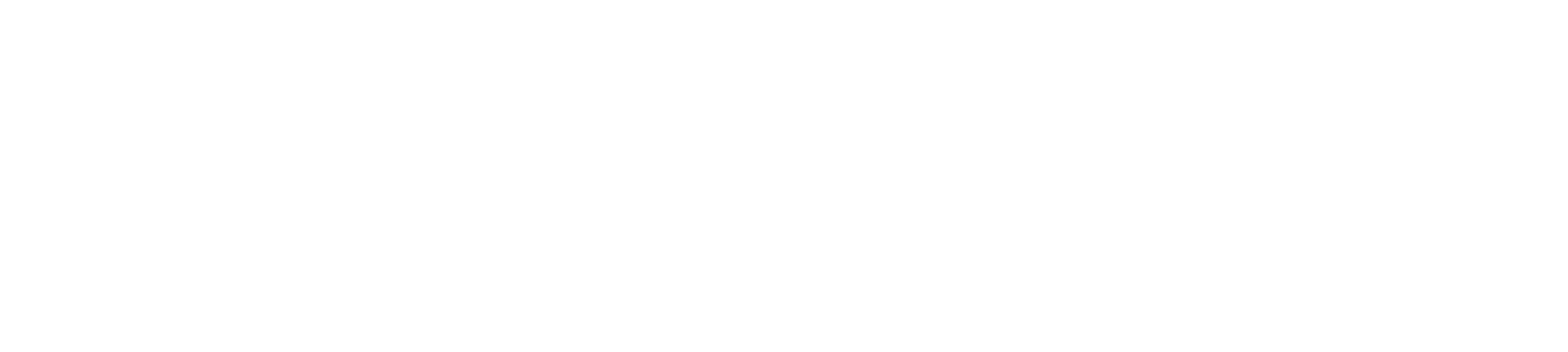 LR_Logo_NEW_H_white