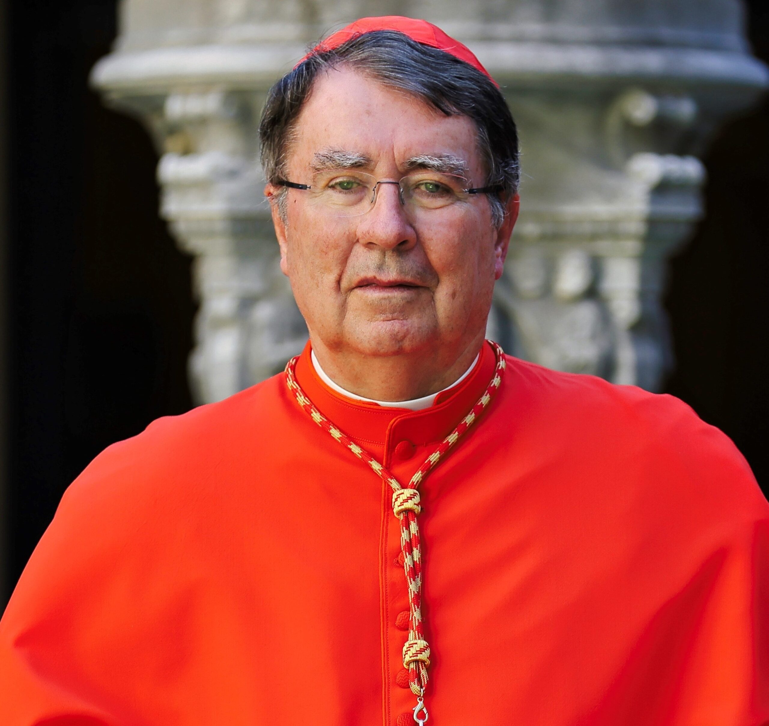 Cardinal Pierre copy